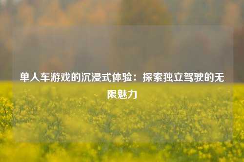 单人车游戏的沉浸式体验：探索独立驾驶的无限魅力