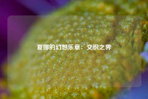 夏娜的幻想乐章:交织之界