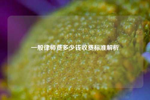 一般律师费多少钱收费标准解析