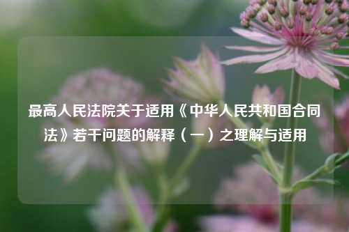最高人民法院关于适用《中华人民共和国合同法》若干问题的解释（一）之理解与适用