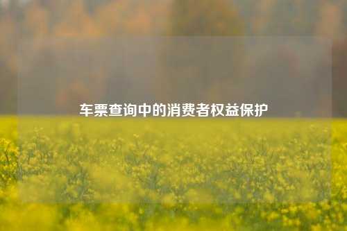 车票查询中的消费者权益保护