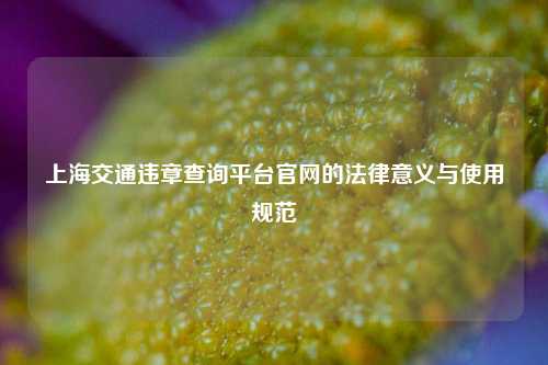 上海交通违章查询平台官网的法律意义与使用规范