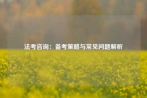 法考咨询：备考策略与常见问题解析