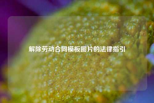 解除劳动合同模板图片的法律指引