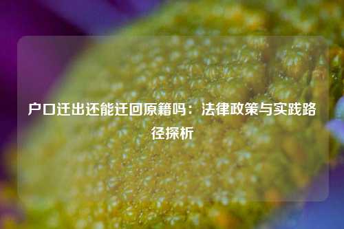 户口迁出还能迁回原籍吗：法律政策与实践路径探析