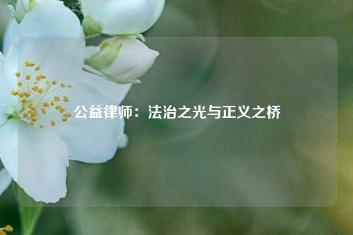 公益律师：法治之光与正义之桥