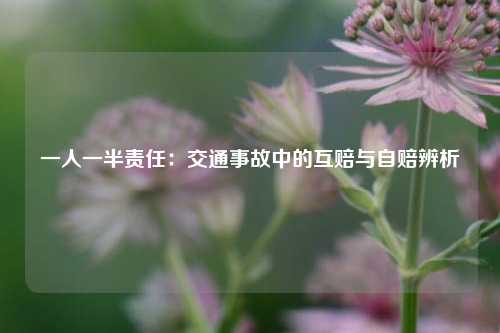 一人一半责任:交通事故中的互赔与自赔辨析