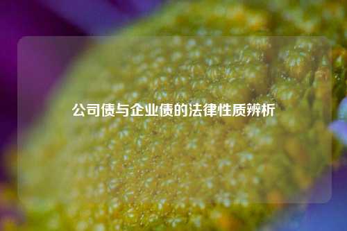 公司债与企业债的法律性质辨析