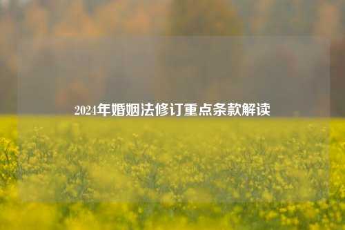 2024年婚姻法修订重点条款解读