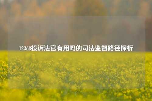 12368投诉法官有用吗的司法监督路径探析