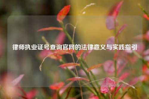 律师执业证号查询官网的法律意义与实践指引