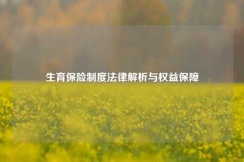生育保险制度法律解析与权益保障